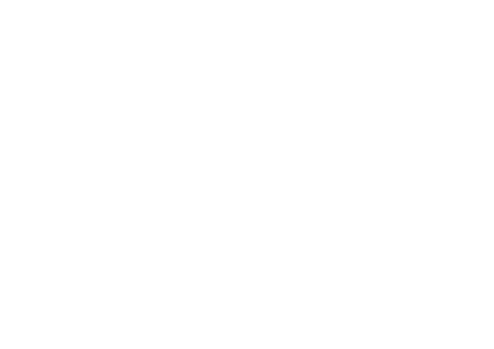 illusive logo